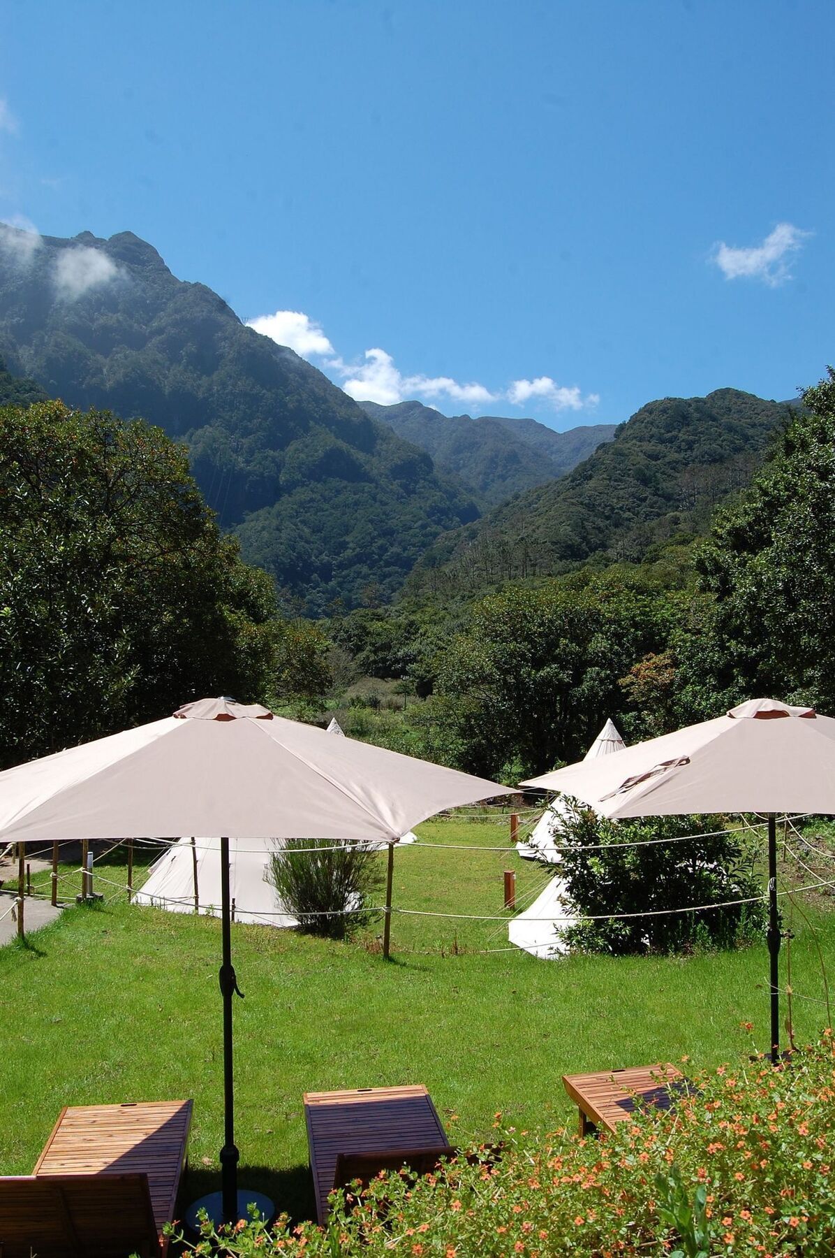 Nature Inn Madeira - Glamping Porto Moniz Exterior foto